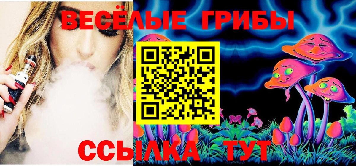 Галлюциногенные грибы Psilocybe Полевской